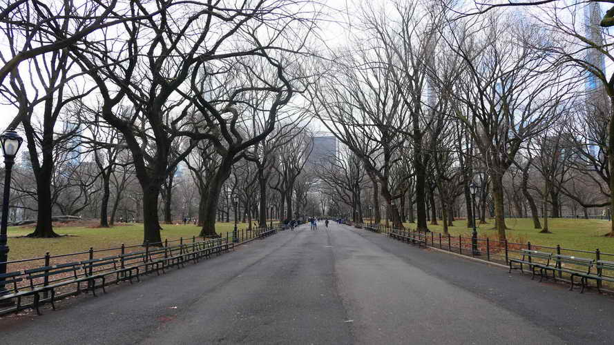 NYC_2020-01-26 09-13-35_P1070524